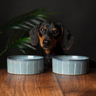 Reactive Glaze 2 Piece Dog Food & Water Bowl Set - Pinstripe Grey Pet Bowls, Feeders & Waterers Scruffs® 13 x 13 x 5cm | 0.4L