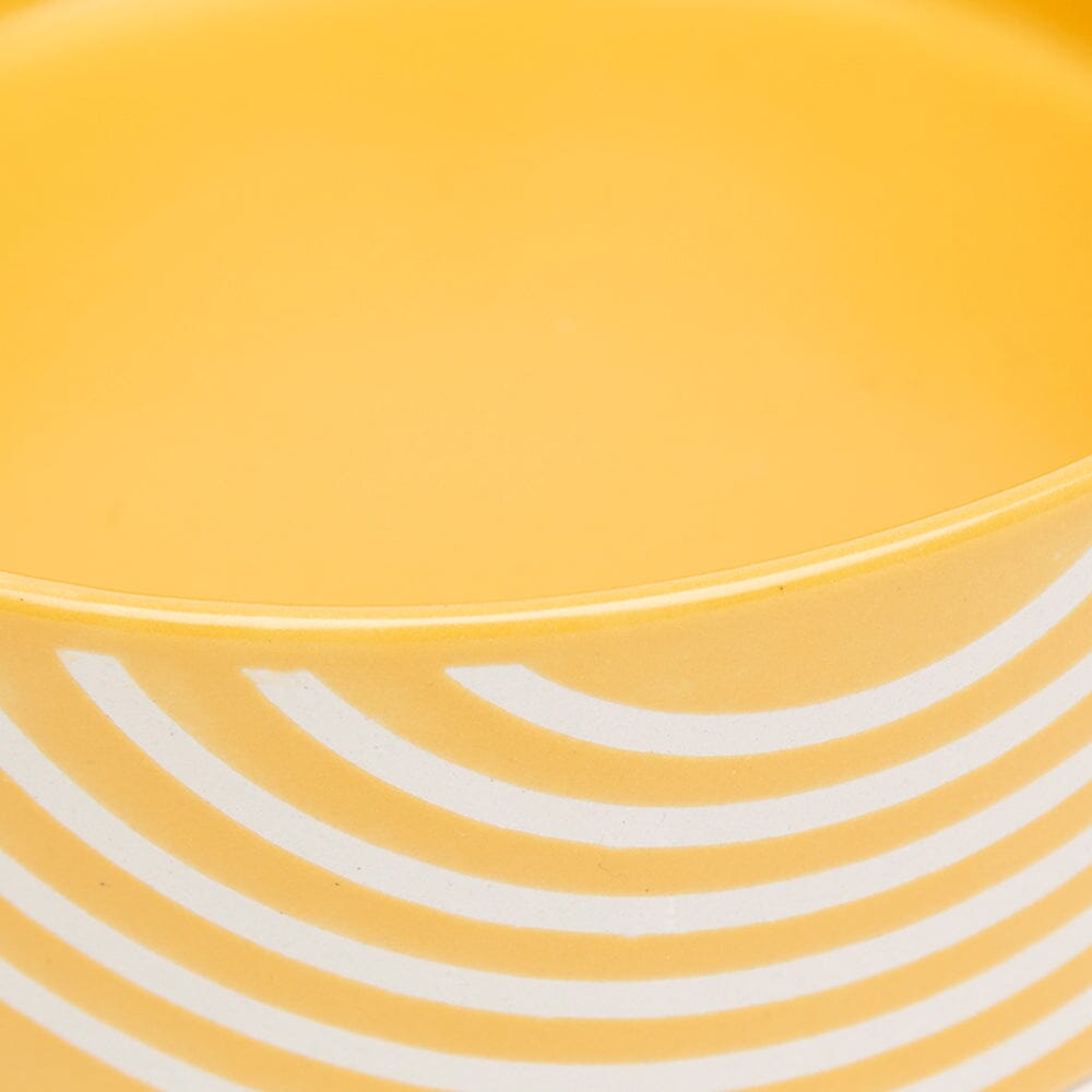 Aztec 2 Piece Cat Food Bowl & Saucer Set - Sunflower Yellow Pet Bowls, Feeders & Waterers Scruffs®