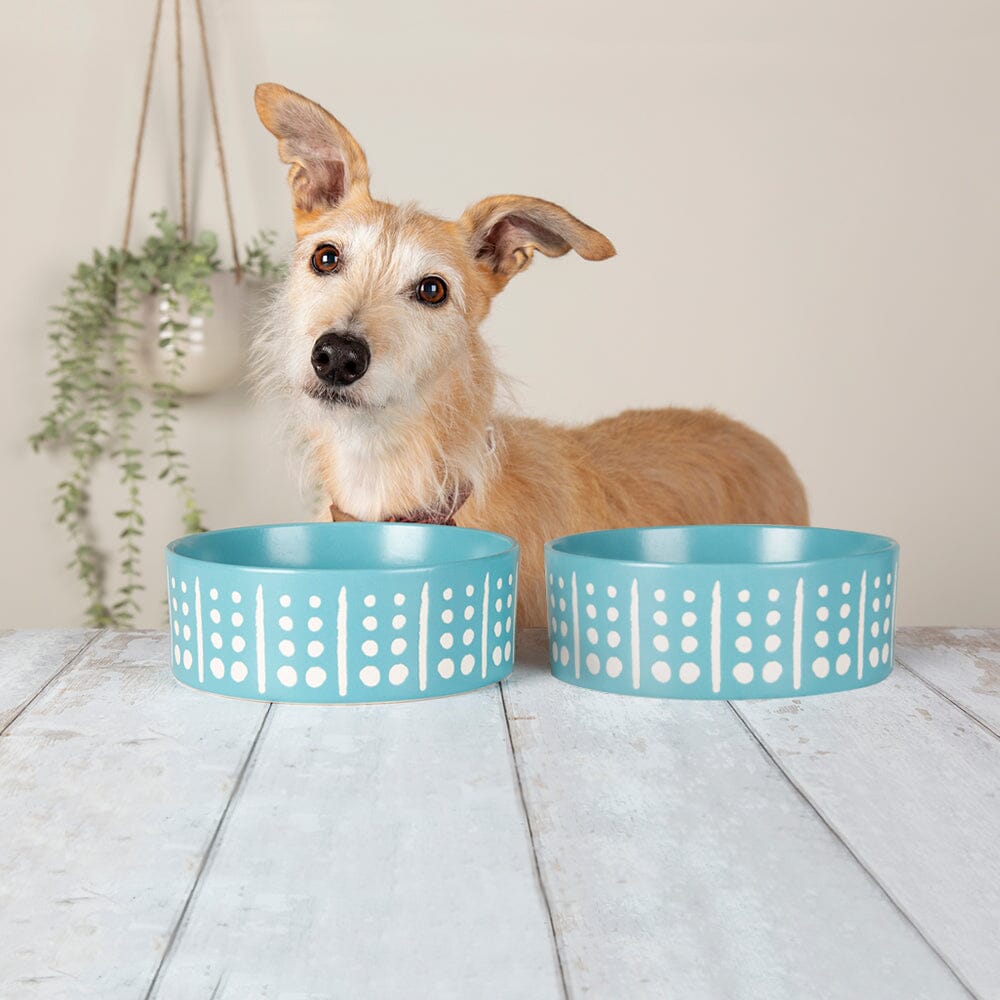 Aztec 2 Piece Dog Food & Water Bowl Set - Turquoise Blue Pet Bowls, Feeders & Waterers Scruffs®