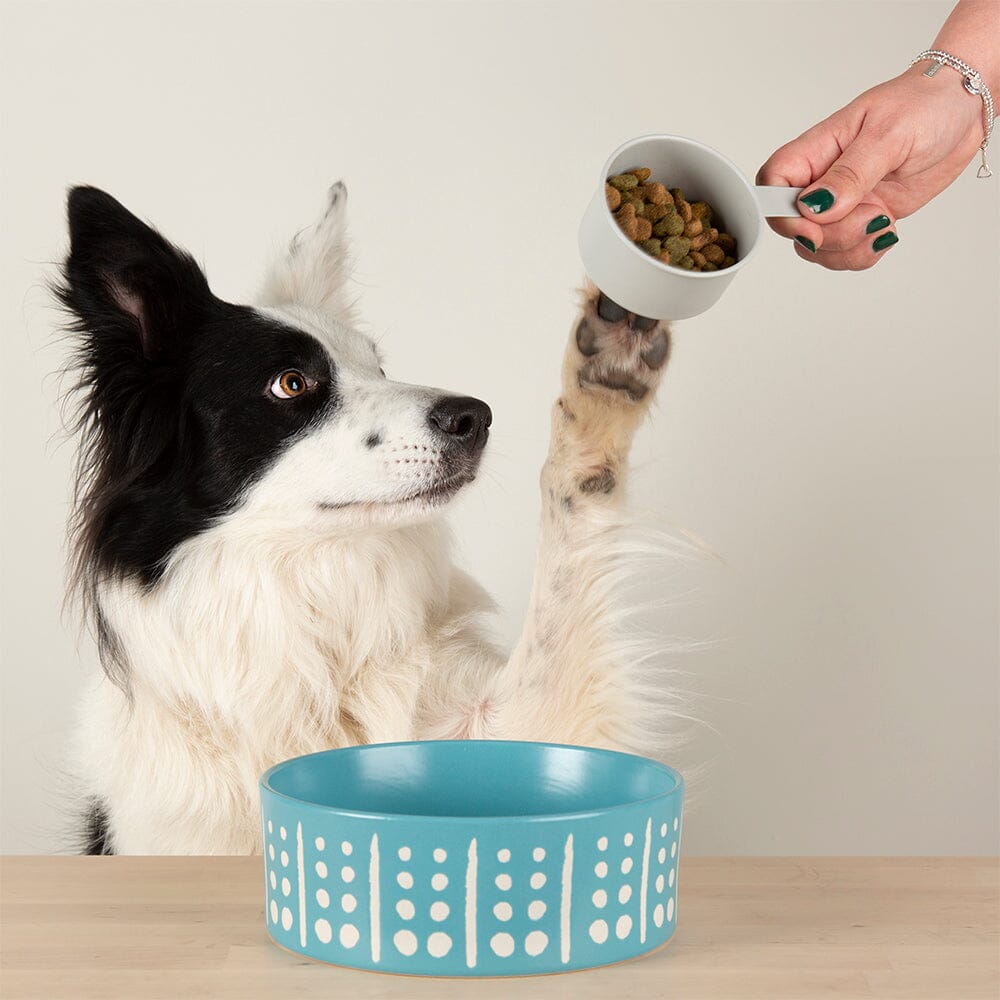 Aztec 2 Piece Dog Food & Water Bowl Set - Turquoise Blue Pet Bowls, Feeders & Waterers Scruffs®