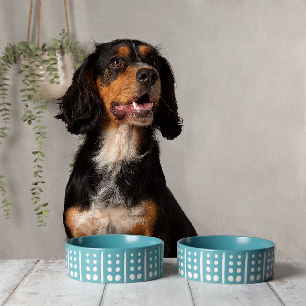 Aztec 2 Piece Dog Food & Water Bowl Set - Turquoise Blue Pet Bowls, Feeders & Waterers Scruffs®