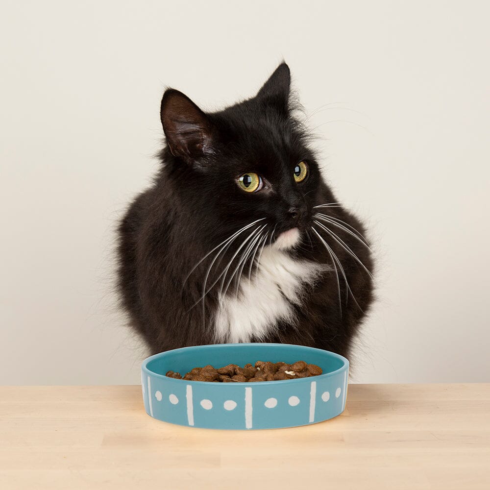 Aztec 2 Piece Cat Food Bowl & Saucer Set - Turquoise Blue Pet Bowls, Feeders & Waterers Scruffs®