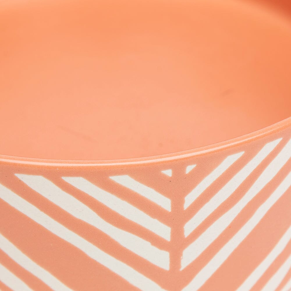 Aztec 2 Piece Cat Food Bowl & Saucer Set - Terracotta Orange Pet Bowls, Feeders & Waterers Scruffs®