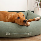 Eden Box Bed - Sage Green Dog Beds Scruffs®