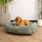Eden Box Bed - Sage Green Dog Beds Scruffs®