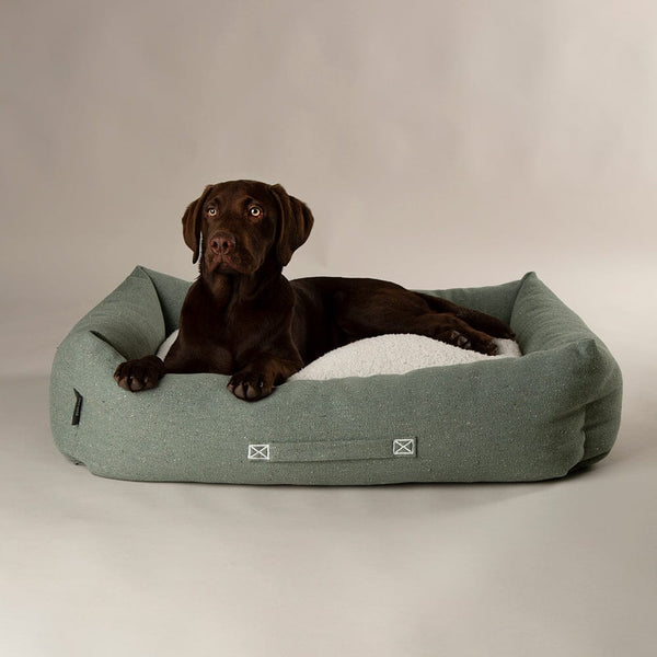 Eden Box Bed - Sage Green Dog Beds Scruffs®