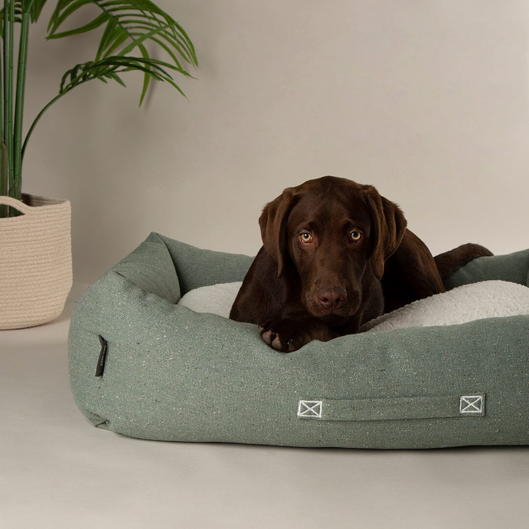 Eden 100% Recycled Box Bed - Sage Green Dog Beds Scruffs®