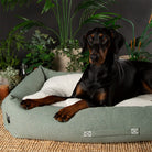 Eden Box Bed - Sage Green Dog Beds Scruffs®