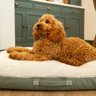 Eden Pillow Bed - Sage Green Dog Beds Scruffs®