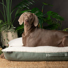 Eden Pillow Bed - Sage Green Dog Beds Scruffs®