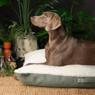Eden Pillow Bed - Sage Green Dog Beds Scruffs®