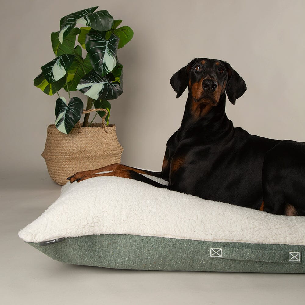 Eden Pillow Bed - Sage Green Dog Beds Scruffs®