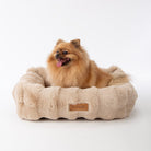 Alpine Box Bed - Champagne Dog Beds Scruffs®