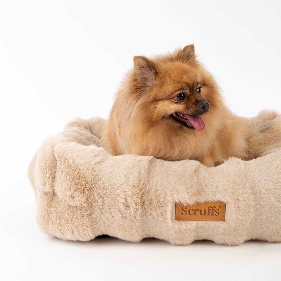 Alpine Box Bed - Champagne Dog Beds Scruffs®