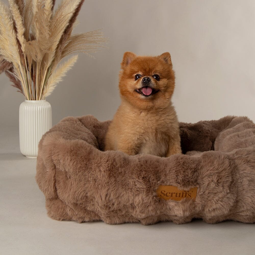 Alpine Box Bed - Taupe Dog Beds Scruffs®