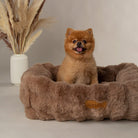Alpine Box Bed - Taupe Dog Beds Scruffs®