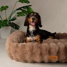 Alpine Box Bed - Taupe Dog Beds Scruffs®