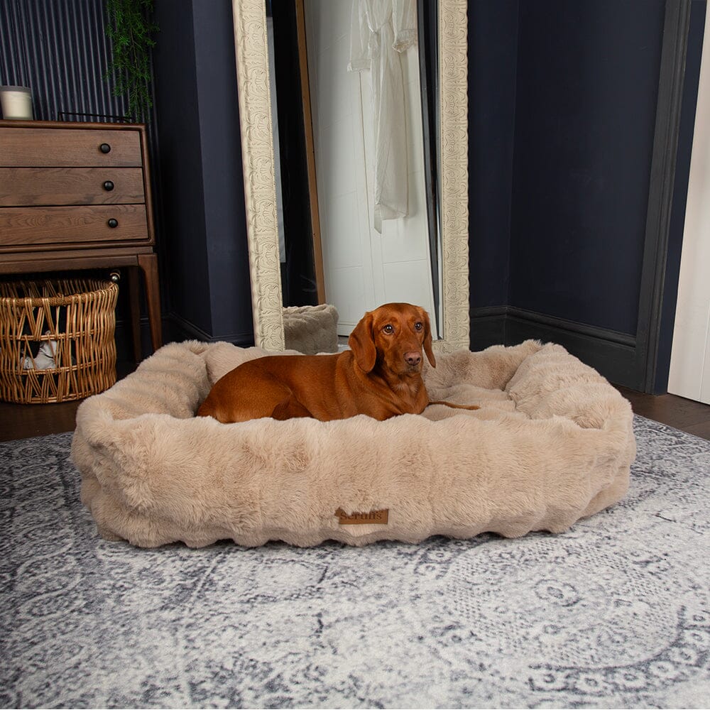 Alpine Box Bed - Champagne Dog Beds Scruffs®