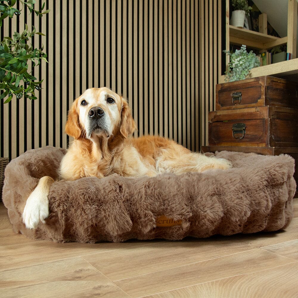 Alpine Box Bed - Taupe Dog Beds Scruffs®