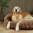 Alpine Box Bed - Taupe Dog Beds Scruffs®