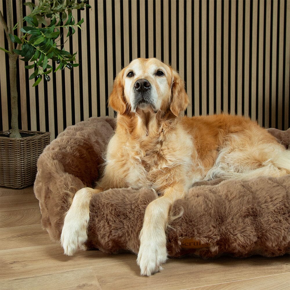 Alpine Box Bed - Taupe Dog Beds Scruffs®
