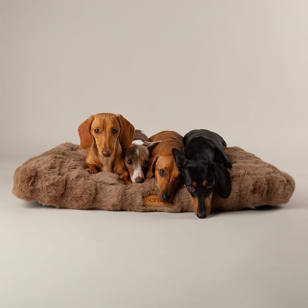 Alpine Mattress - Taupe Dog Beds Scruffs®