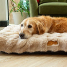 Alpine Mattress - Champagne Dog Beds Scruffs®