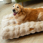 Alpine Mattress - Champagne Dog Beds Scruffs®