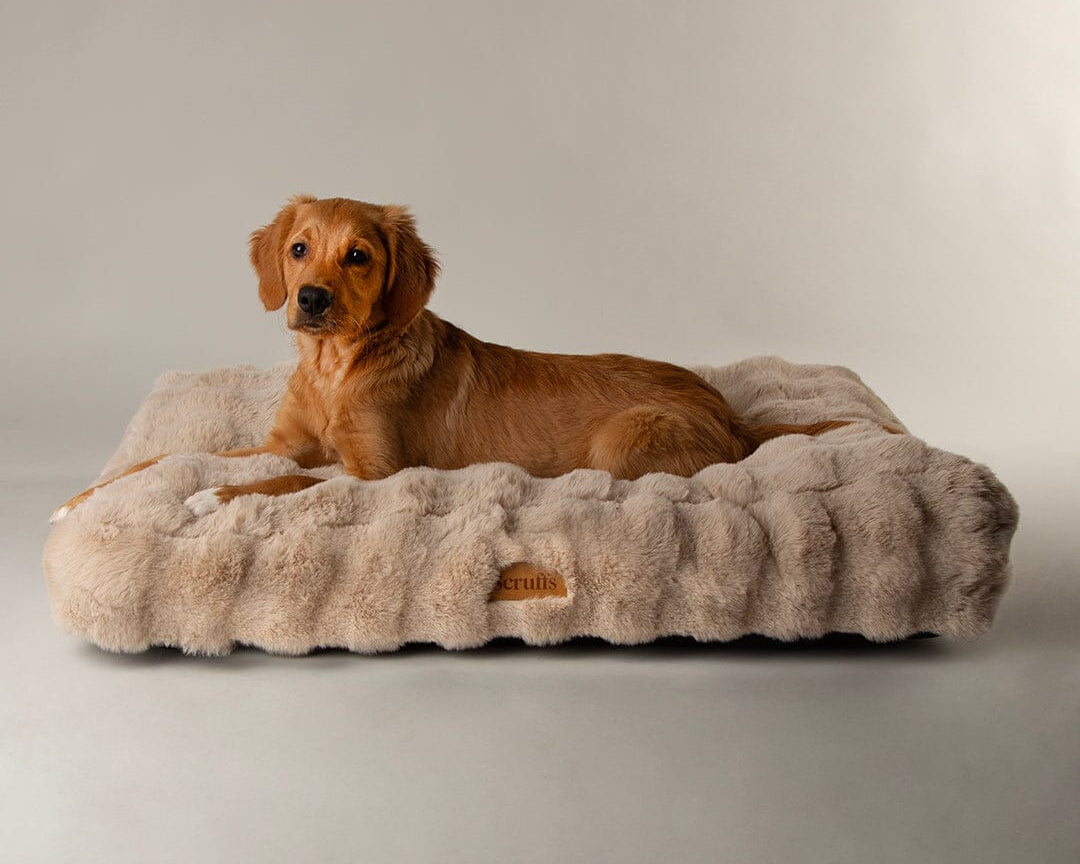Alpine Mattress - Champagne Dog Beds Scruffs®