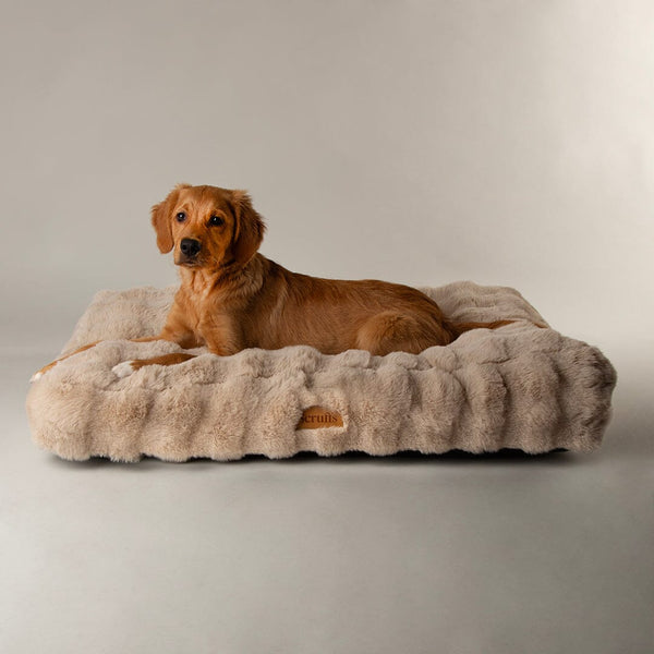 Alpine Mattress - Champagne Dog Beds Scruffs®