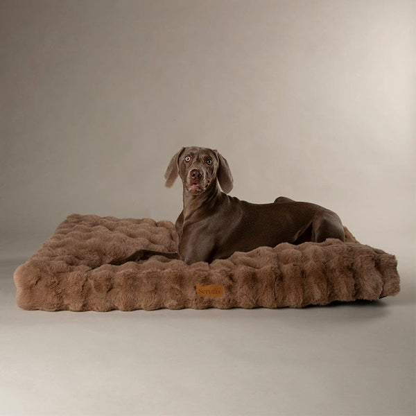 Alpine Mattress - Taupe Dog Beds Scruffs®