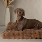 Alpine Mattress - Taupe Dog Beds Scruffs®