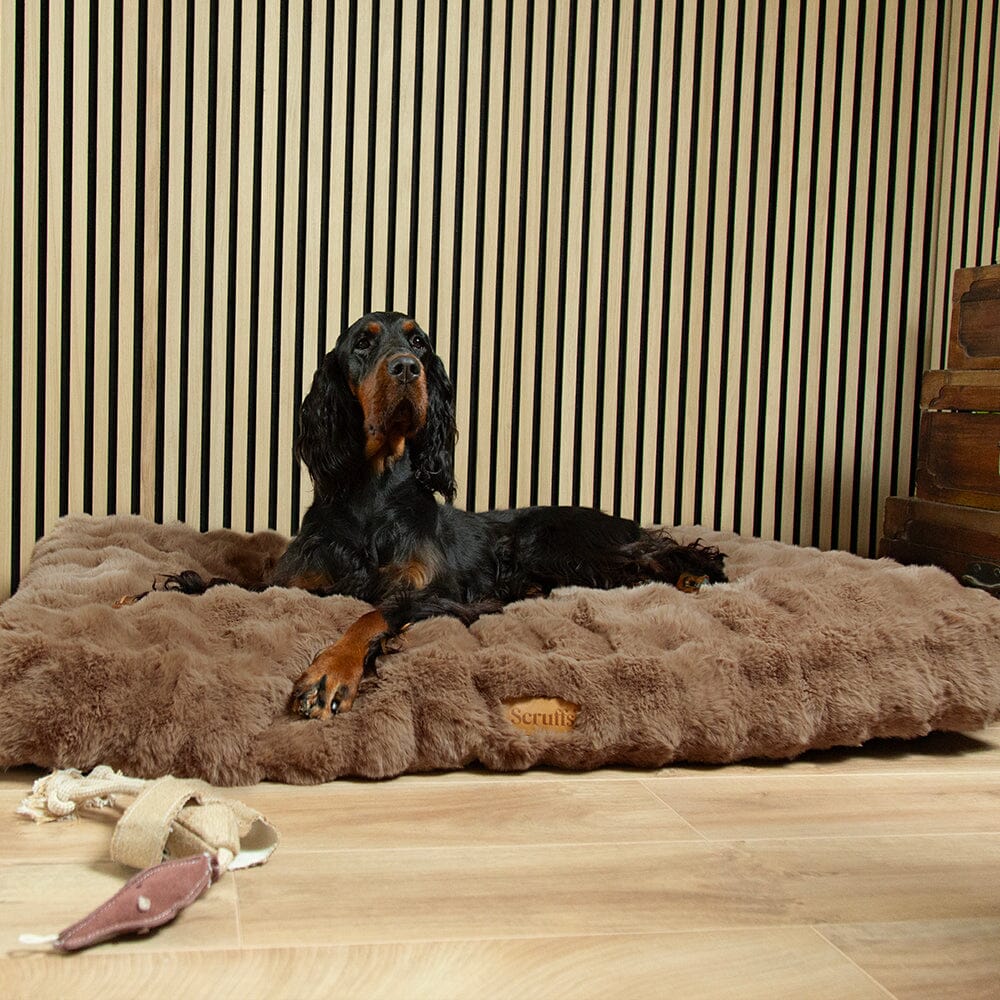 Alpine Mattress - Taupe Dog Beds Scruffs®