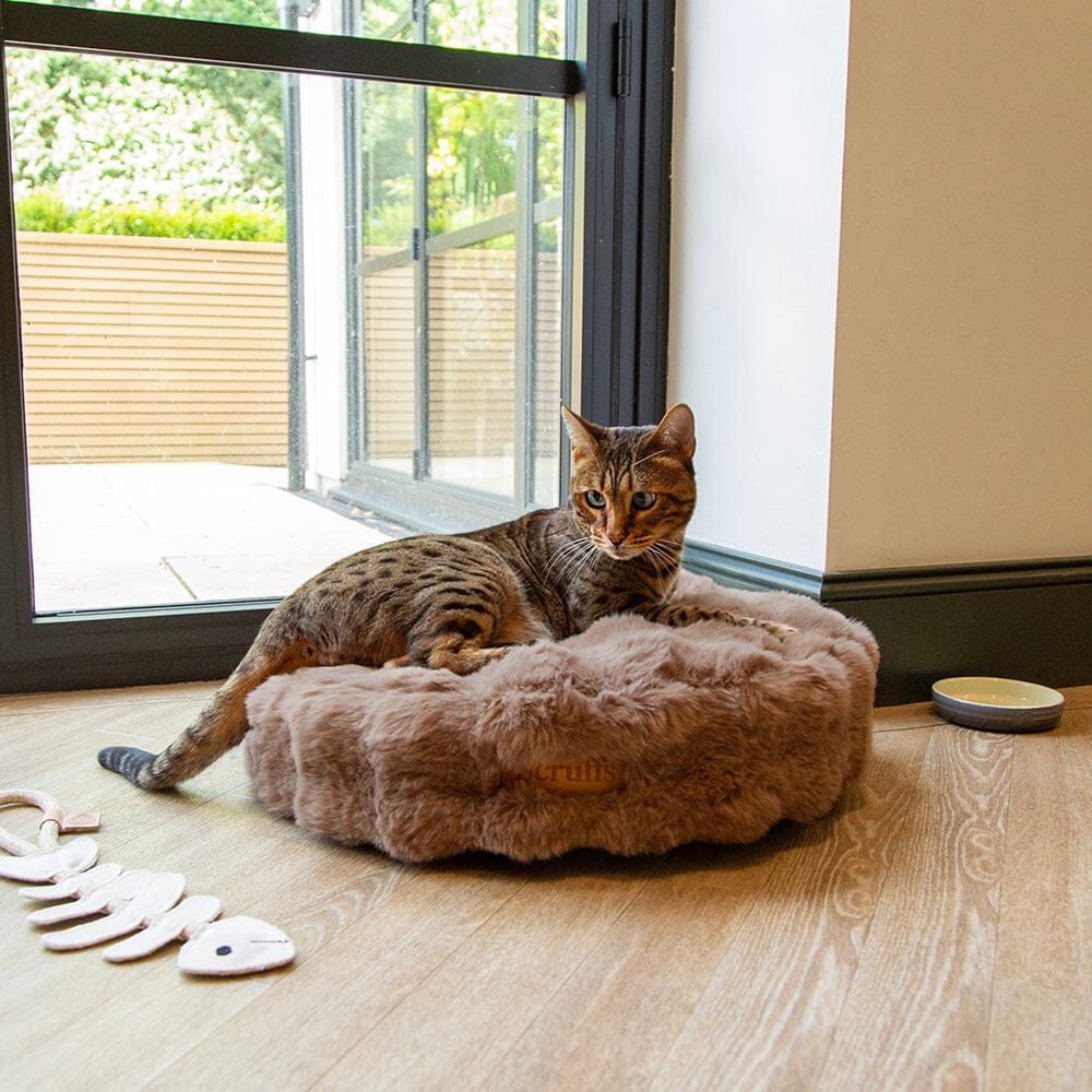 Alpine Cat Bed - Taupe Cat Bed Scruffs®