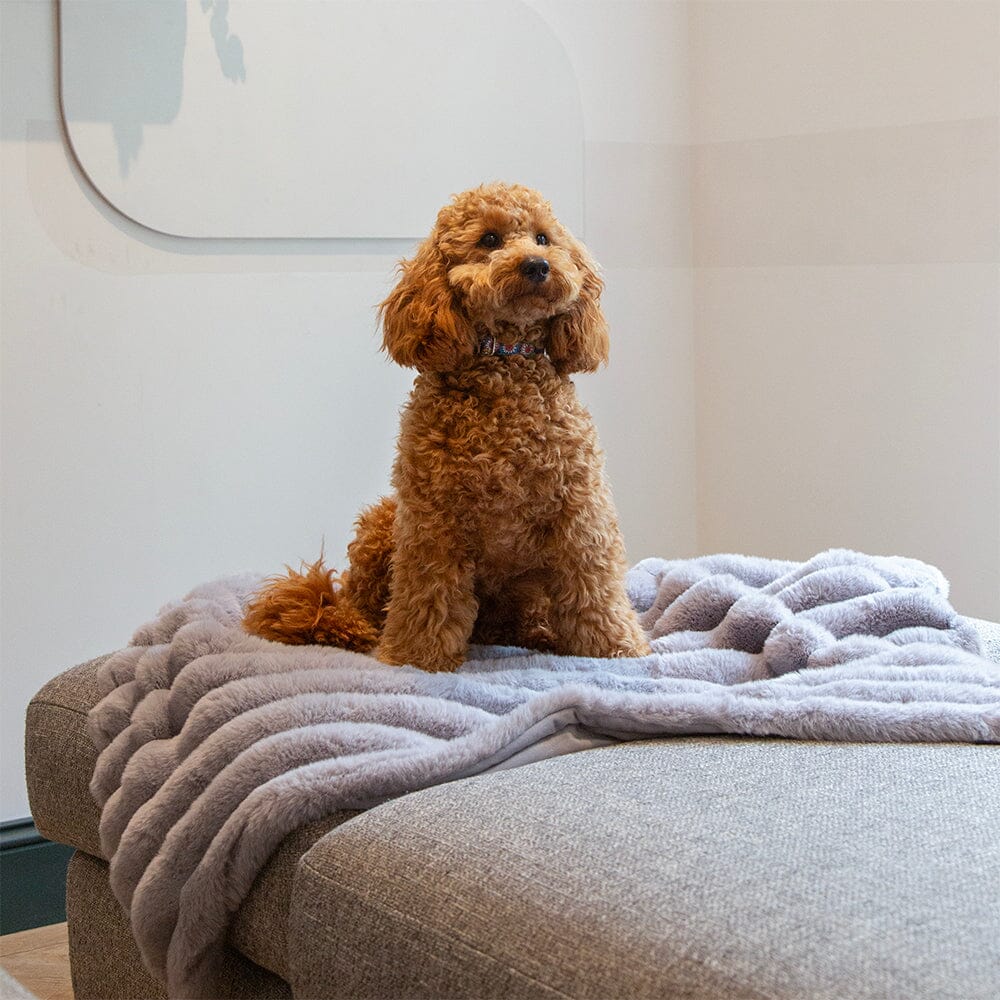 Aspen Pet Blanket - Grey Dog Blanket Scruffs®