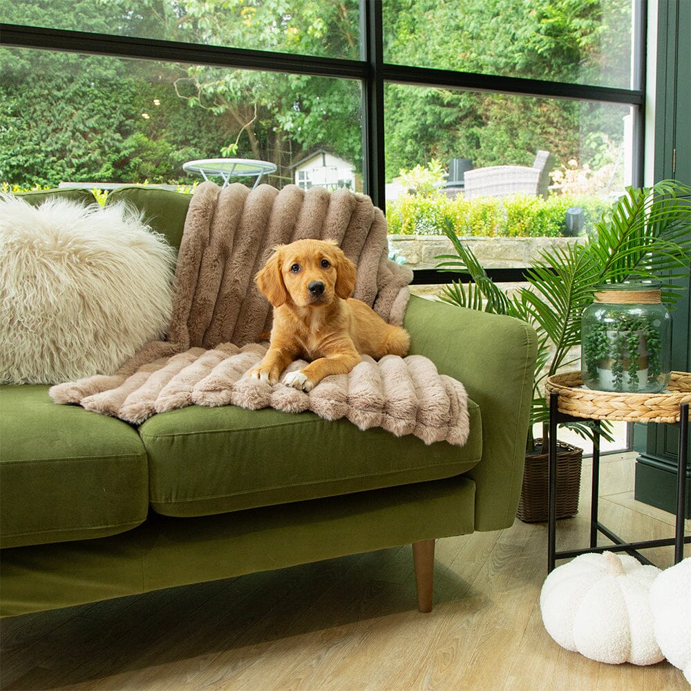 Aspen Pet Blanket - Taupe Dog Blanket Scruffs®