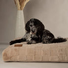 Scruffs Oxford Orthopedic Mattress - Beige Dog Bed - Large Dog Bed