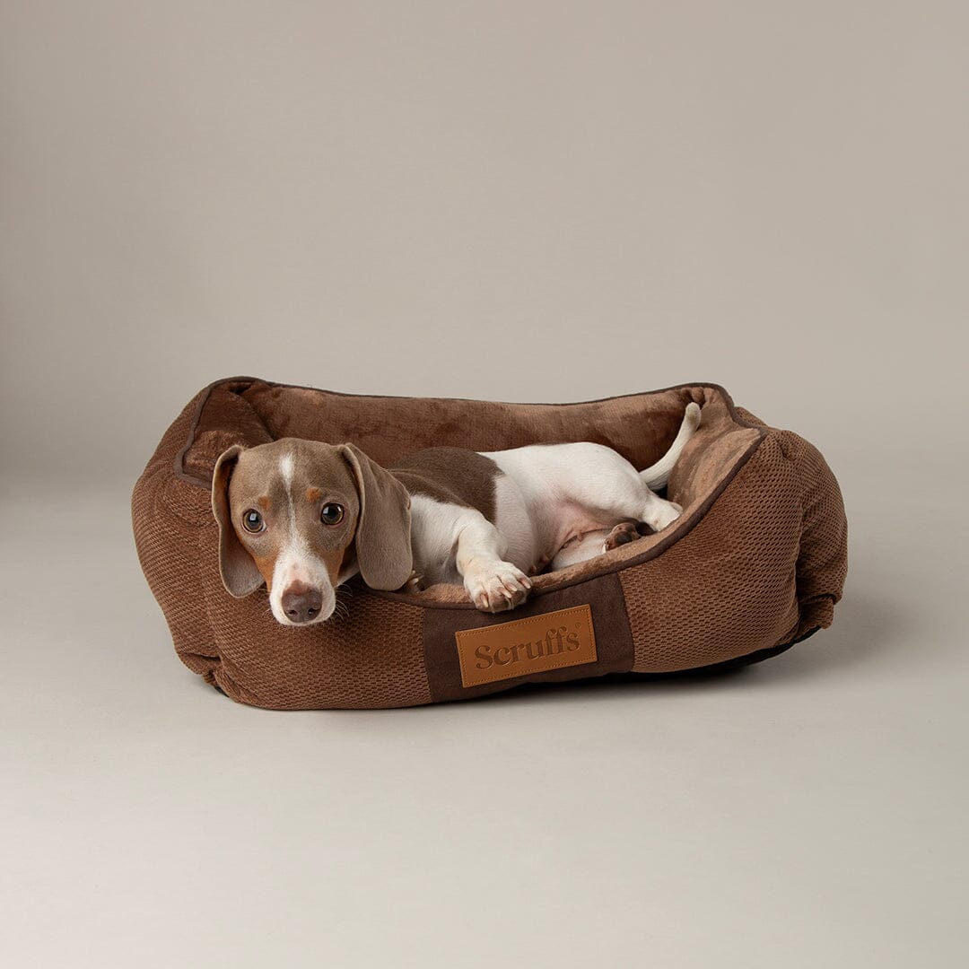 Chester Box Dog Bed - Chocolate Brown Dog Bed Scruffs®