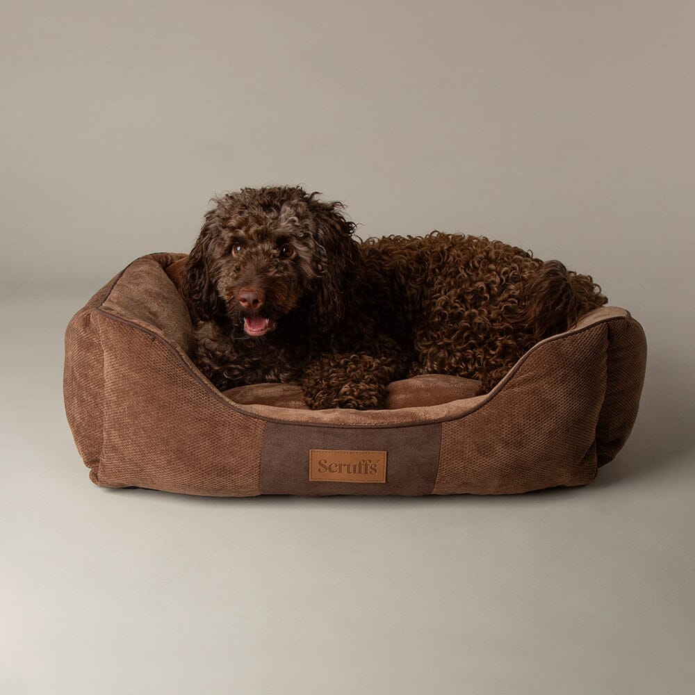 Chester Box Dog Bed - Chocolate Brown Dog Bed Scruffs®