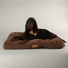 Chester Mattress - Chocolate Brown Dog Bed Scruffs®