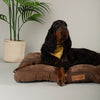 Chester Mattress - Chocolate Brown Dog Bed Scruffs®