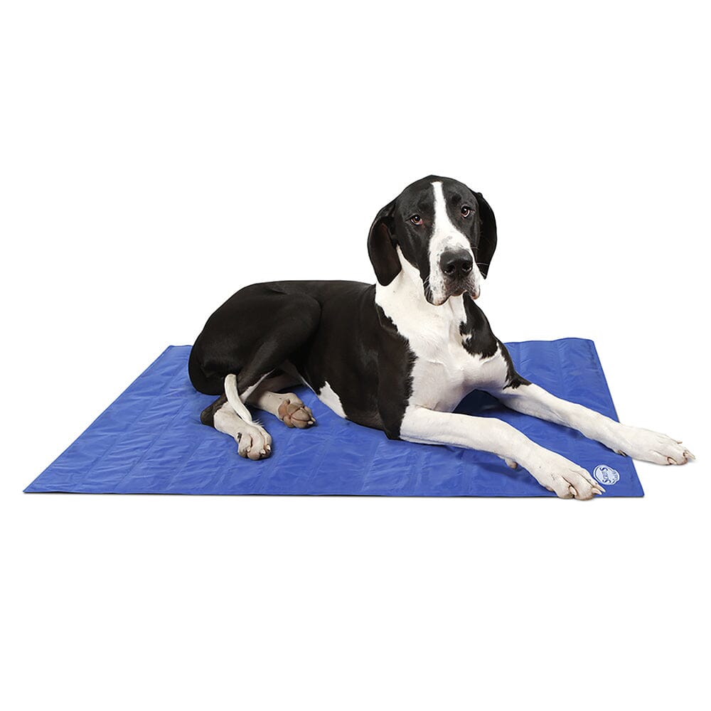 Cool Mat - Blue Cooling Mat Scruffs®