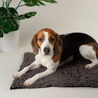 Noodle Dry Mat - Graphite Dog Mat Scruffs®