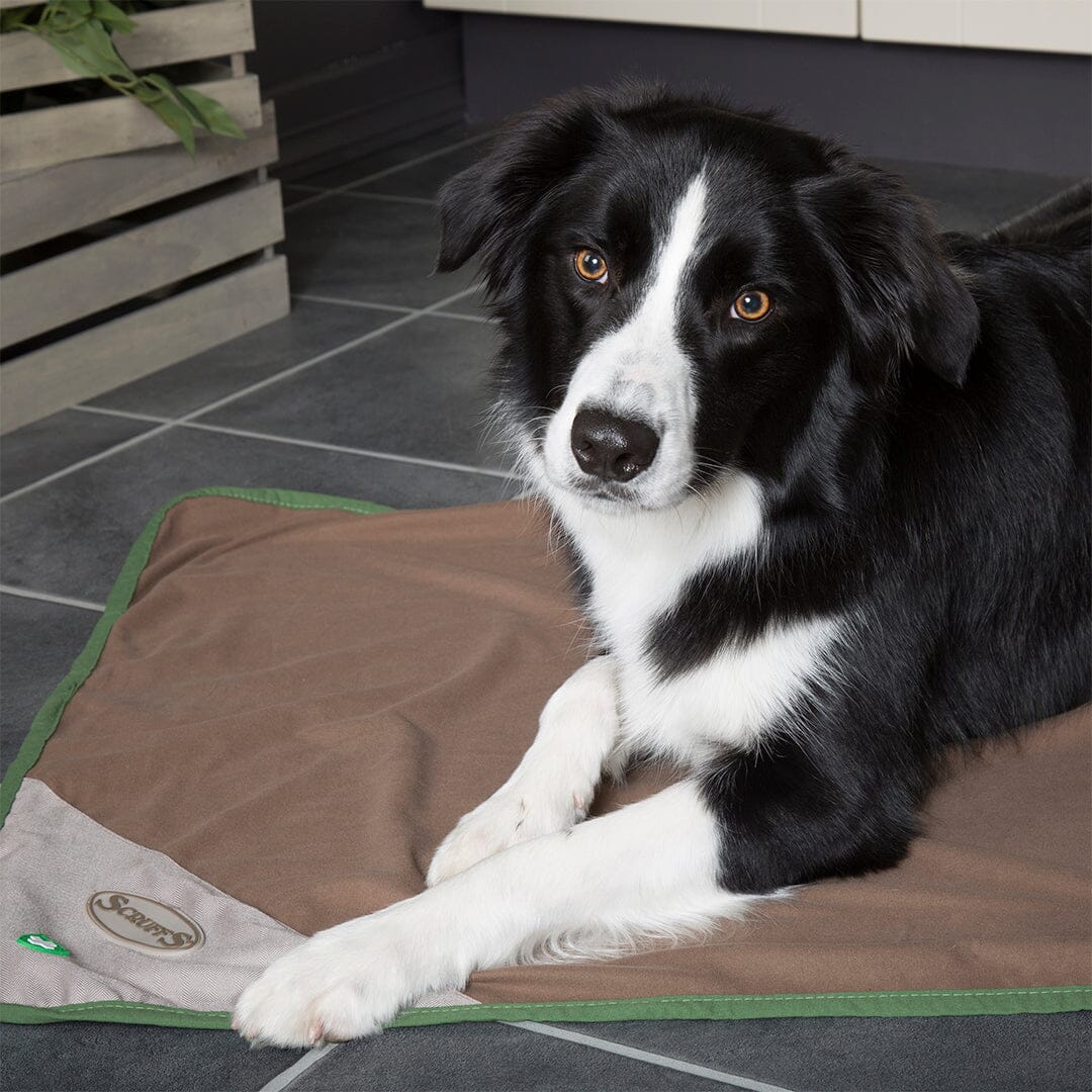 Insect Shield Dog Blanket Dog Blanket Scruffs®