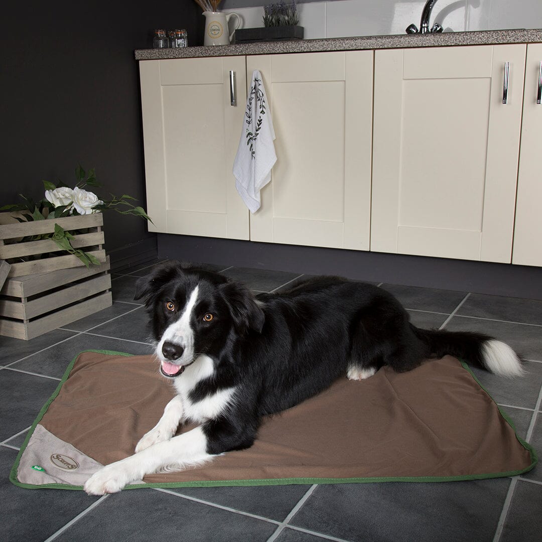 Insect Shield Dog Blanket Dog Blanket Scruffs®