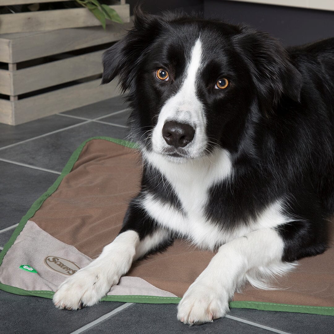Insect Shield Dog Blanket Dog Blanket Scruffs®