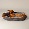 Cosy Soft-Walled Dog Bed - Grey Dog Bed Scruffs®