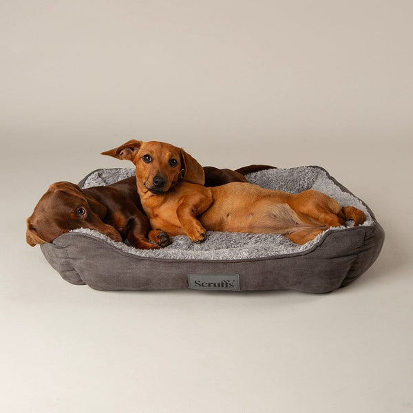 Cosy Soft-Walled Dog Bed - Grey Dog Bed Scruffs®