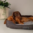 Cosy Soft-Walled Dog Bed - Grey Dog Bed Scruffs®