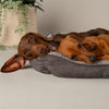 Cosy Soft-Walled Dog Bed - Grey Dog Bed Scruffs®